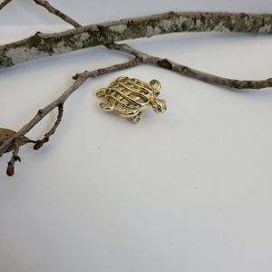 Turtle Brooch